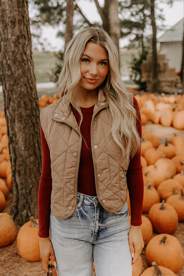 Morning Dew Quilted Vest in Mocha Image 2