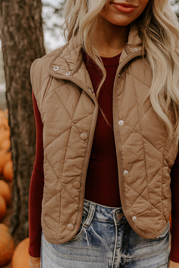 Morning Dew Quilted Vest in Mocha Image 3