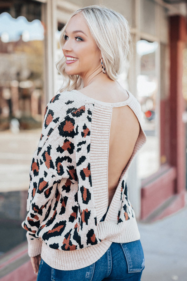 Plaza Party Open Back Leopard Sweater In Iced Mocha – Impressions