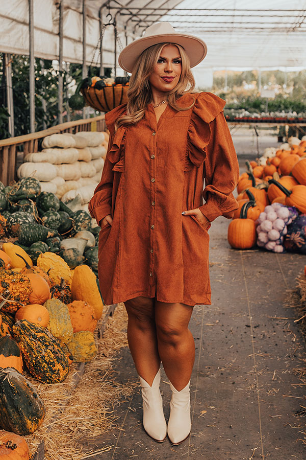 Boston Chill Corduroy Dress in Rust Curves