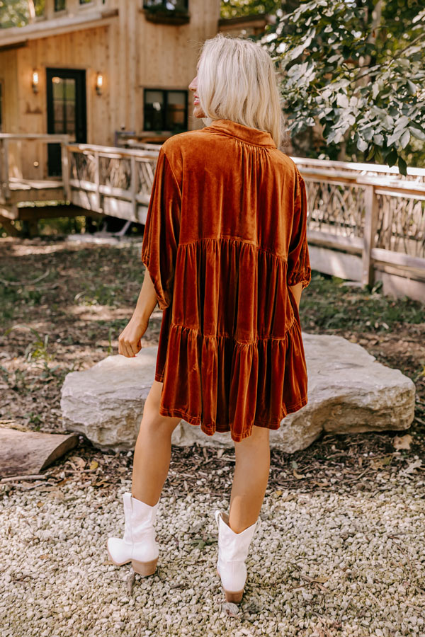 Maple Latte Velvet Tunic Dress Image - 4