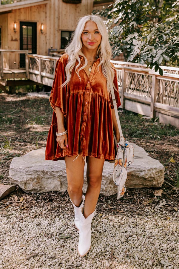 Maple Latte Velvet Tunic Dress Image - 2