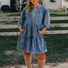 Manifest It Denim Shift Dress Curves Image - 1