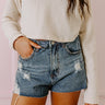 The Lily High Waist Distressed Shorts Image - 1
