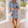 Park Stroll Chambray Shift Dress Image - 1