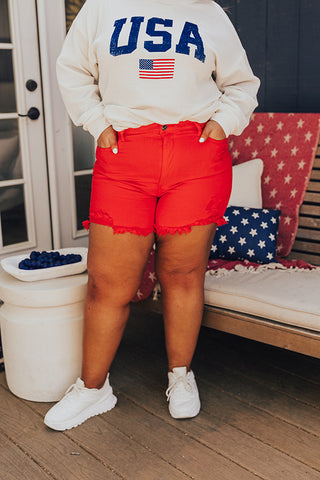 Risen Allison High Waist Distressed Shorts in Red Curves