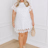 Dainty Darling Crochet Mini Dress in White Curves Image - 1