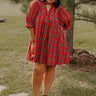 Cheerful Energy Plaid Mini Dress Curves Image - 1