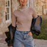 Glam Feeling Rhinestone Embellished Knit Top in Taupe Image - 1