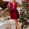 Charmed Moments Velvet Mini Dress in Wine Image - 1