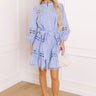 Tea Time Embroidered Mini Dress in Sky Blue Image 1