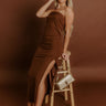 Rooftop Soiree Velvet Midi Dress in Chocolate Image 1
