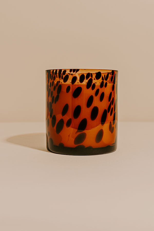 Bridgewater Candle Co. Sweet Grace Tortoiseshell Collection Candle Image - 1