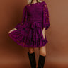 The Orchard Path Jacquard Mini Dress Image - 1