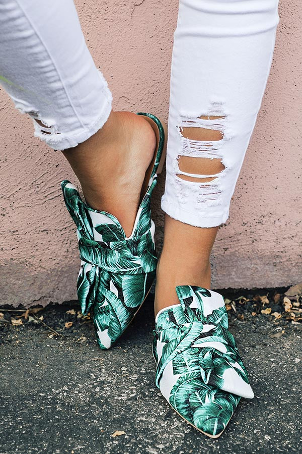 The Coco Flat Image - 1