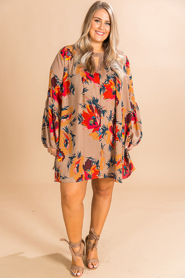 Starry Skies Shift Dress in Taupe Curves Image - 1