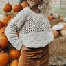 Pumpkin Spice and Everything Nice Cropped Sweater in Ivory Image - 1