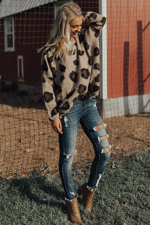 Leopard & Lattes Shift Sweater Image - 2
