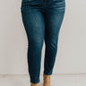 The Saylor High Waist Skinny Curves Image - 1