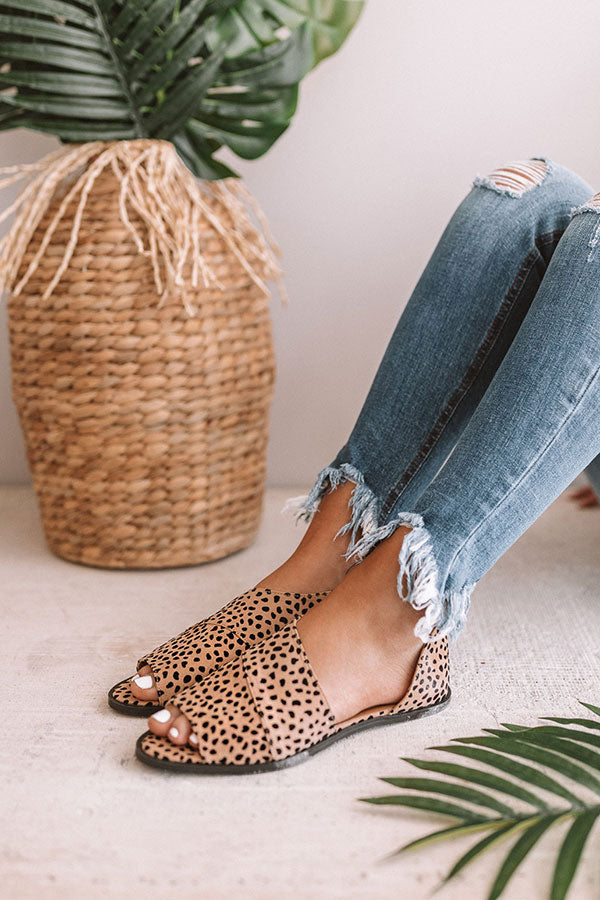 The Basel Leopard Flat Image - 1