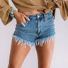 The Cam High Waist Frayed Shorts Image - 1