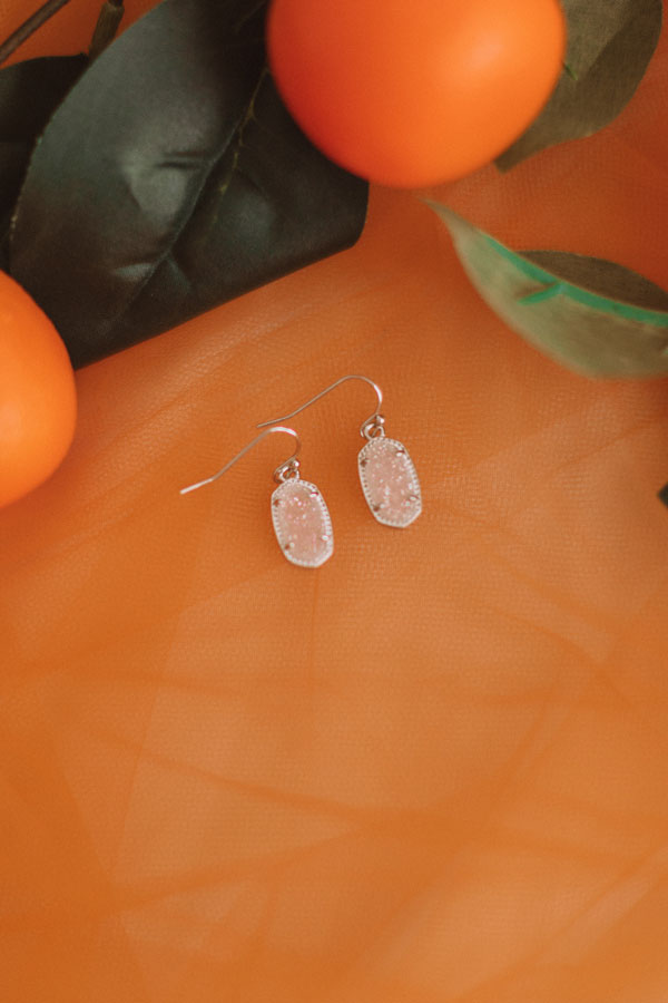 Kendra Scott Lee Silver Drop Earrings in Iridescent Drusy Image - 1