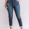 The Ellison High Waist Relaxed Skinny Image - 1
