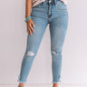 The Amalie High Waist Distressed Skinny Image - 1