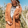 Hot Cocoa By The Fire Knit Cardigan In Camel Image - 1