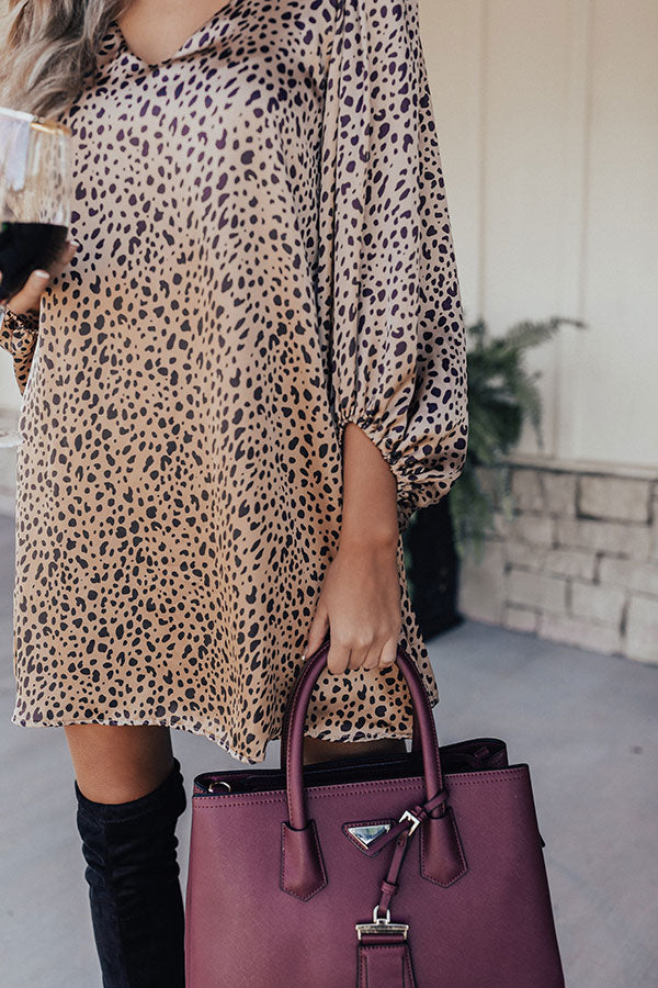 Darling Dance Leopard Shift Dress In Iced Latte Image - 5