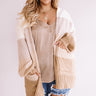 Sweet As Pumpkin Pie Stripe Cardigan in Ivory Curves Image - 1