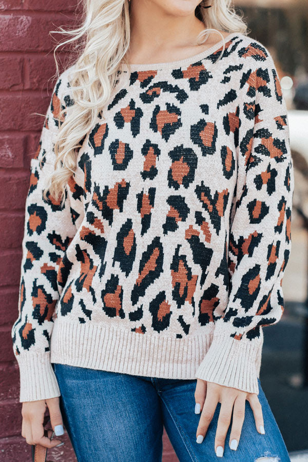 Plaza Party Open Back Leopard Sweater In Iced Mocha Image - 3