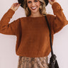 Cocoa Stroll Chenille Sweater In Cinnamon Image - 1