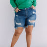 The Camry High Waist Distressed Shorts in Medium Wash   Curves Image - 1