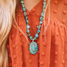 Style Bandit Turquoise Necklace Image - 1
