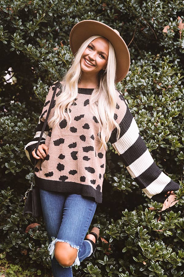 Fall Potential Knit Sweater Image - 2