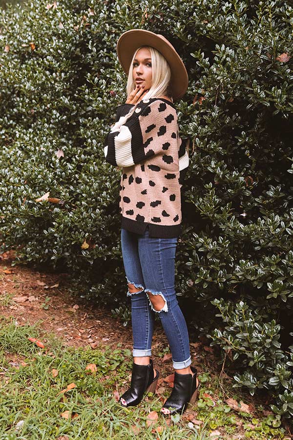 Fall Potential Knit Sweater Image - 4