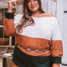 Mountain Top Resort Shift Sweater    Curves Image - 1