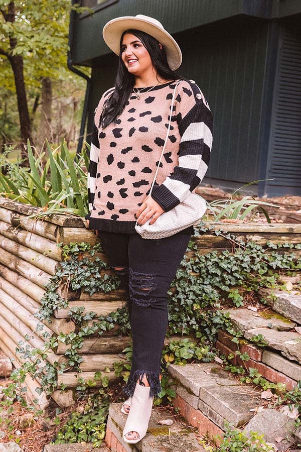 Fall Potential Knit Sweater   Curves Image - 4