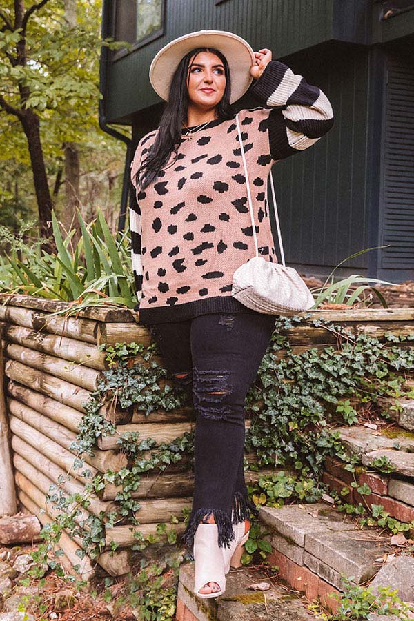 Fall Potential Knit Sweater   Curves Image - 1