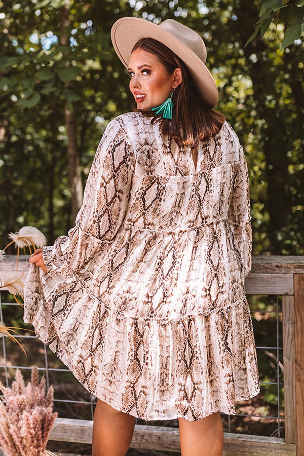 New York Fashion District Snake Print Dress in Brown Curves Image - 4