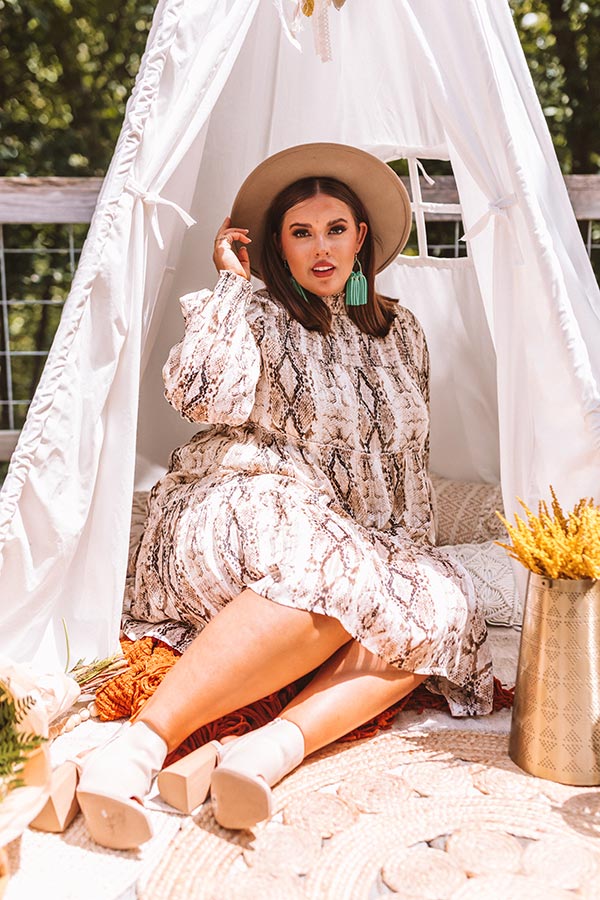 New York Fashion District Snake Print Dress in Brown Curves Image - 2