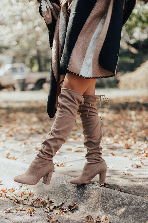The Raven Faux Suede Thigh High Boot In Warm Taupe Image - 1