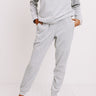 Queen Of Comfort Velour Joggers In Grey Image - 1