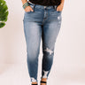 The Tyla Midrise Distressed Ankle Skinny Curves Image - 1