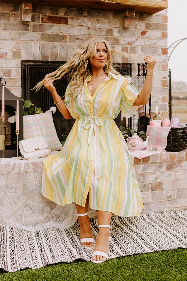 Vacay Honey Stripe Dress Curves Image - 1