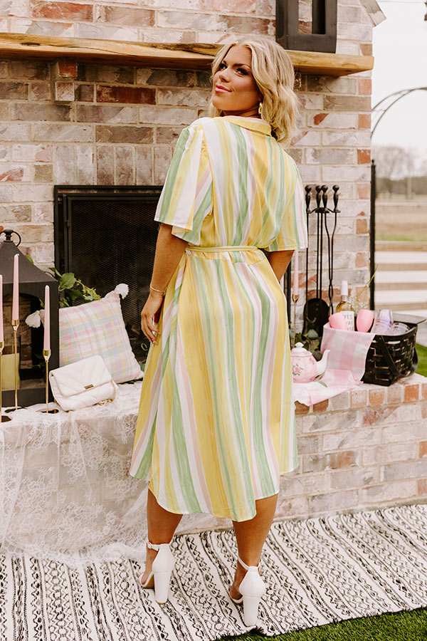 Vacay Honey Stripe Dress Curves Image - 5