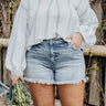 The Hope High Waist Frayed Shorts Curves Image - 1