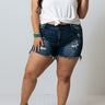 The Antonia High Waist Distressed Shorts Curves Image - 1