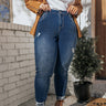 The Viv High Waist Skinny In Medium Wash Curves Image - 1